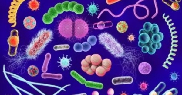 健康科普|微生物是“敌”是“友”？